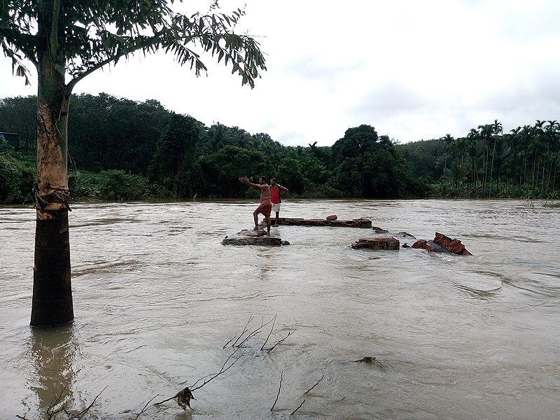 Future of relief aid
