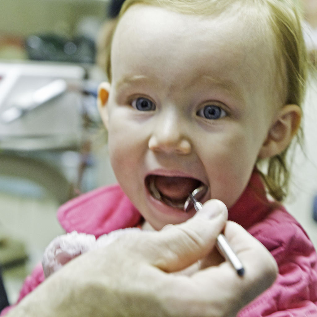 Parents not taking toddlers to the dentists