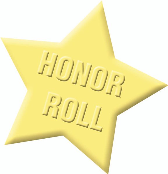 2015 GCSE and A-Level honour roll