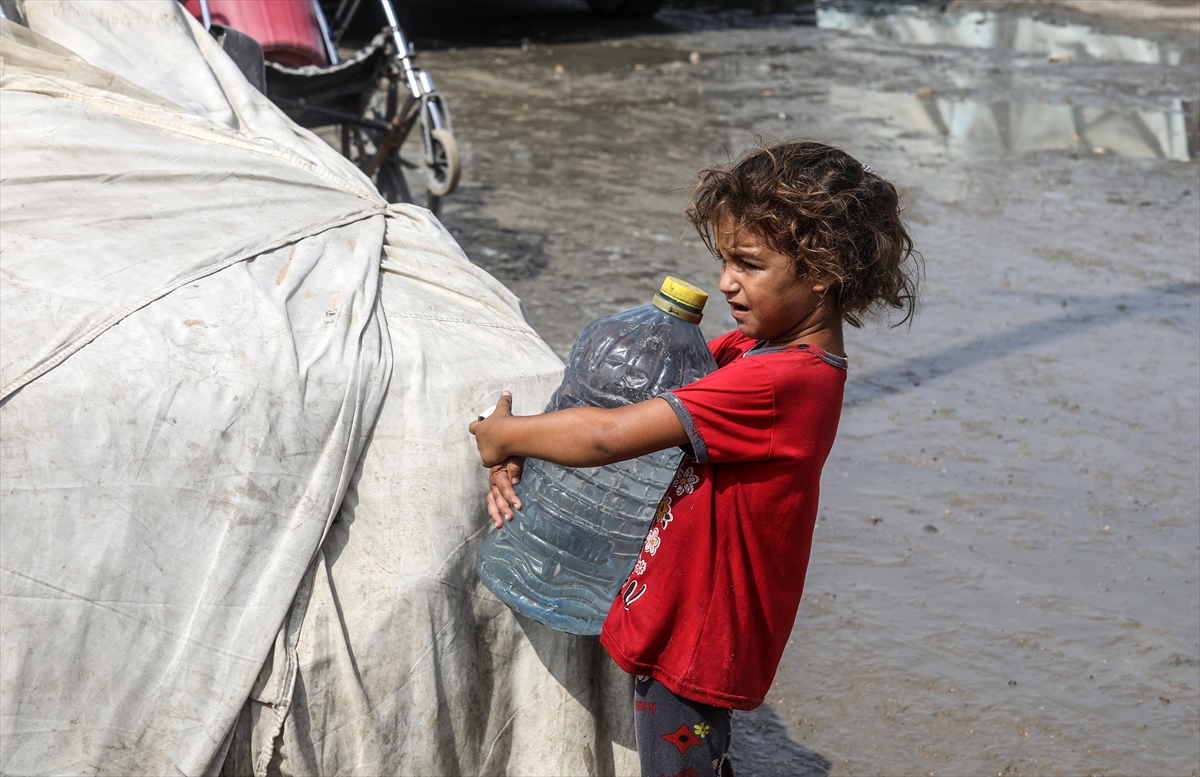 Gaza death toll rises as famine and targeted journalist killings spur ICC action