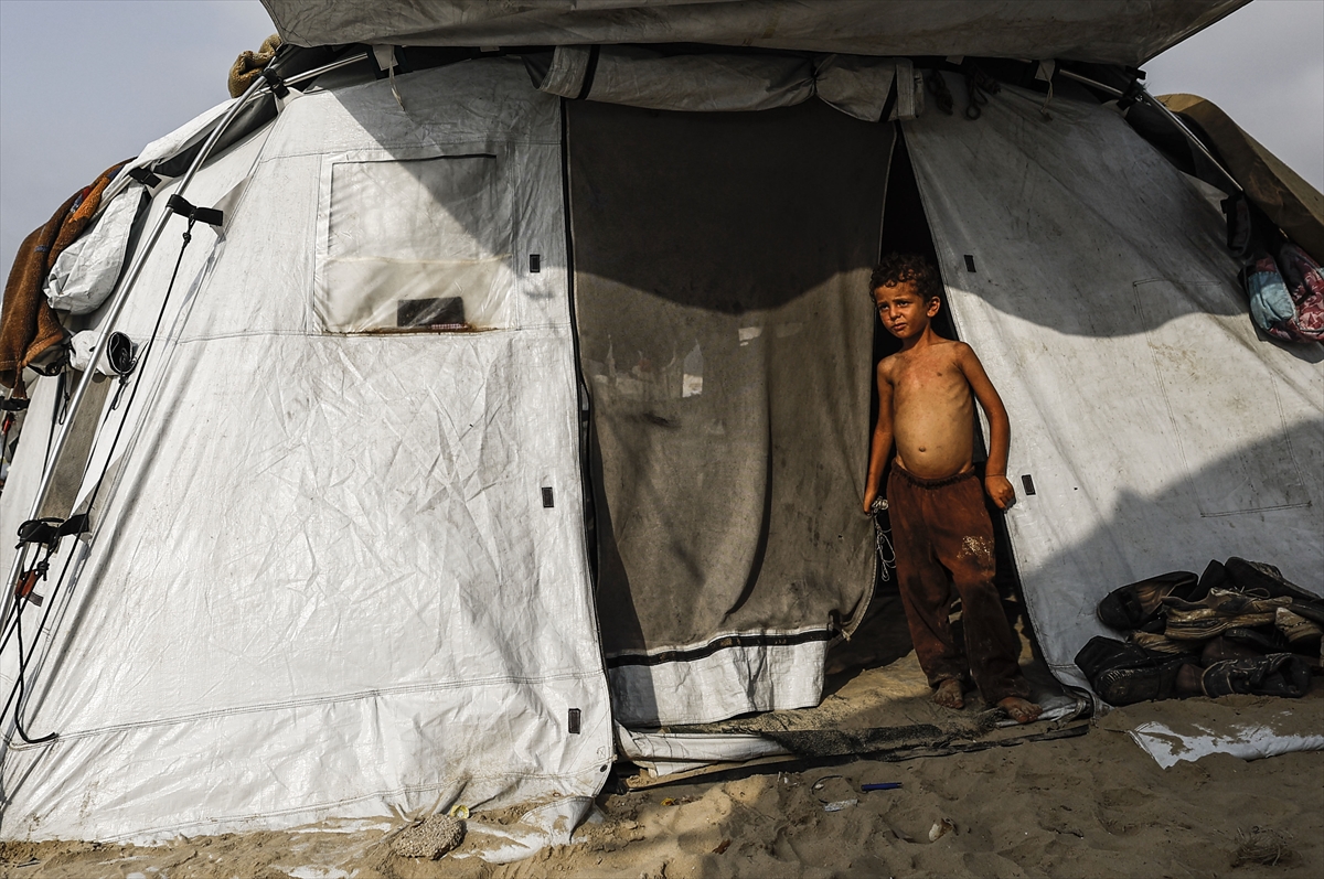 Israel kills nearly 2,000 Palestinians at aid points as weaponised starvation claims 239 lives