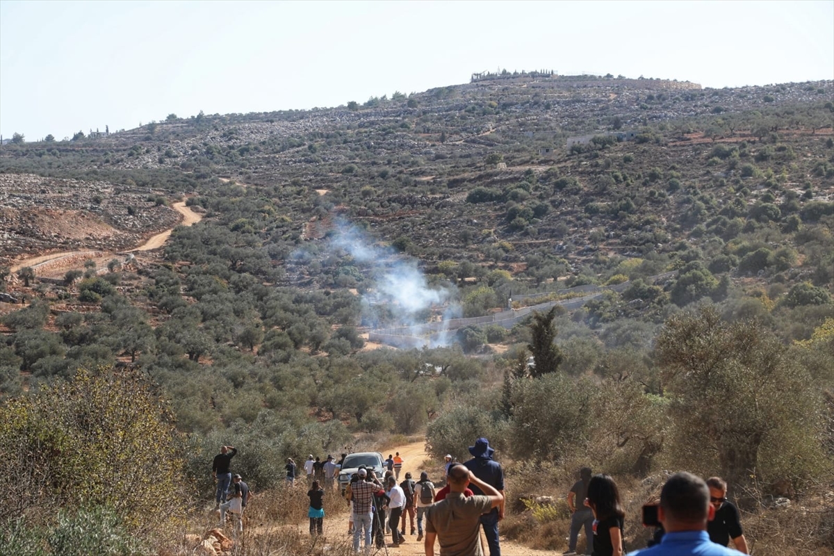 At least 11 Palestinians injured in West Bank as illegal Jewish settler attacks on olive harvesters intensify