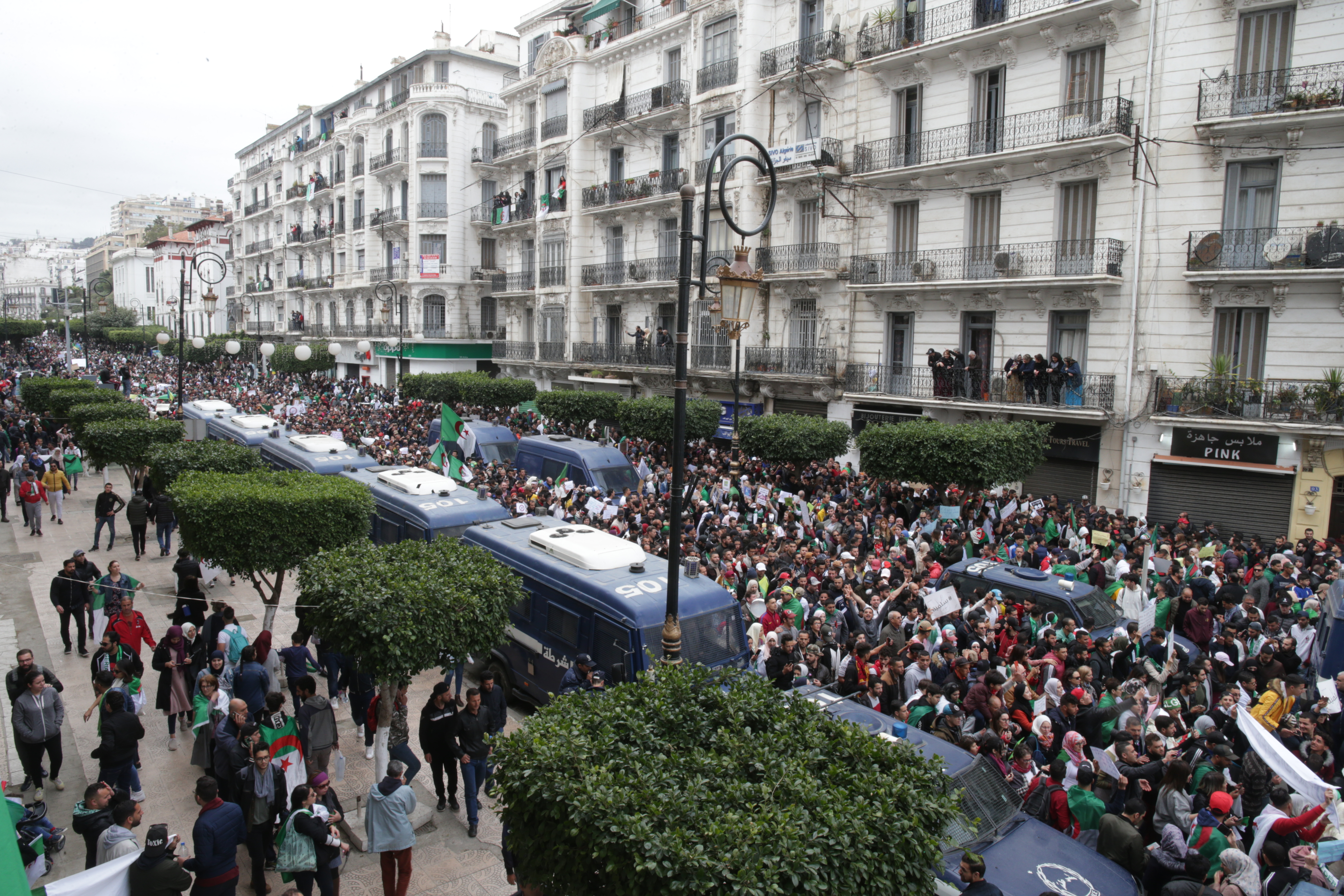 Algerians stage partial strike amid protests