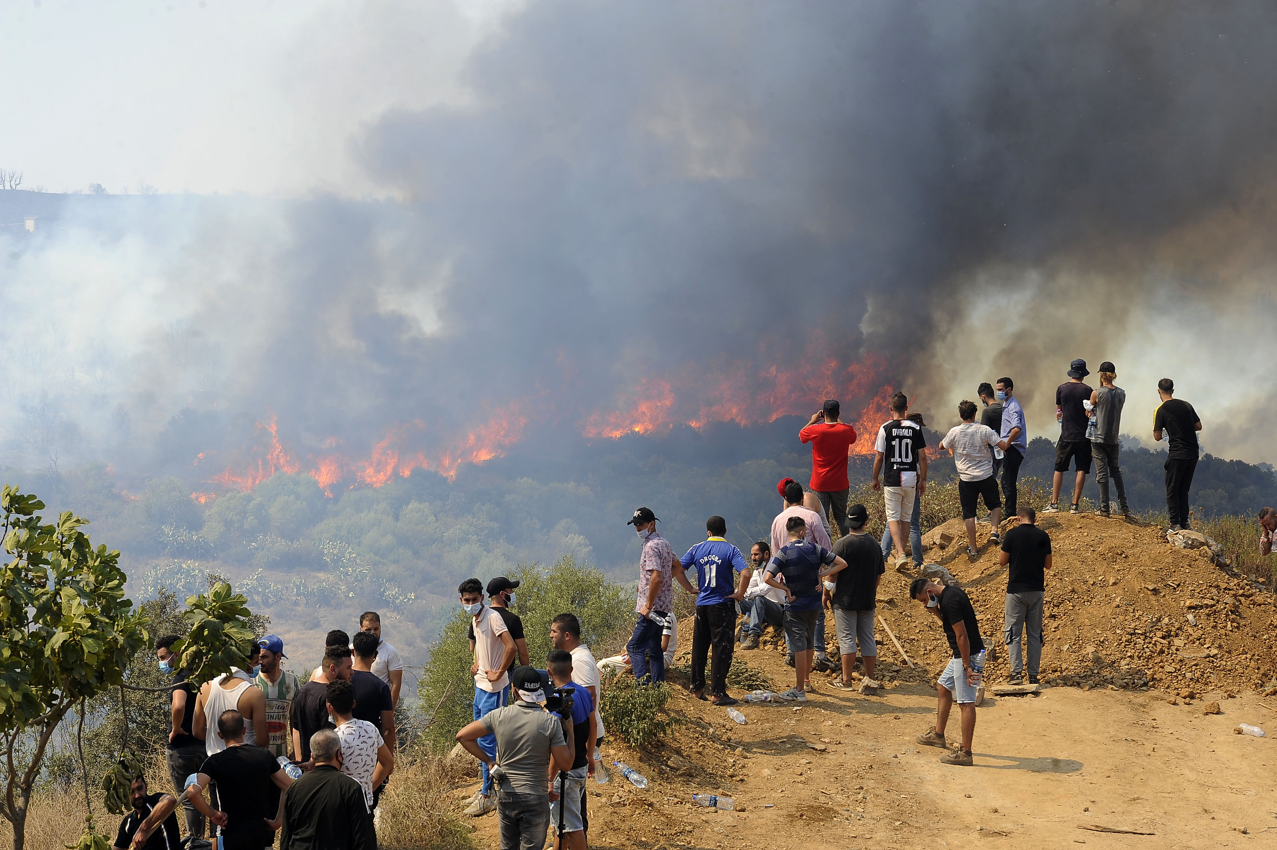 Algeria: Death toll from forest fires rises to 69