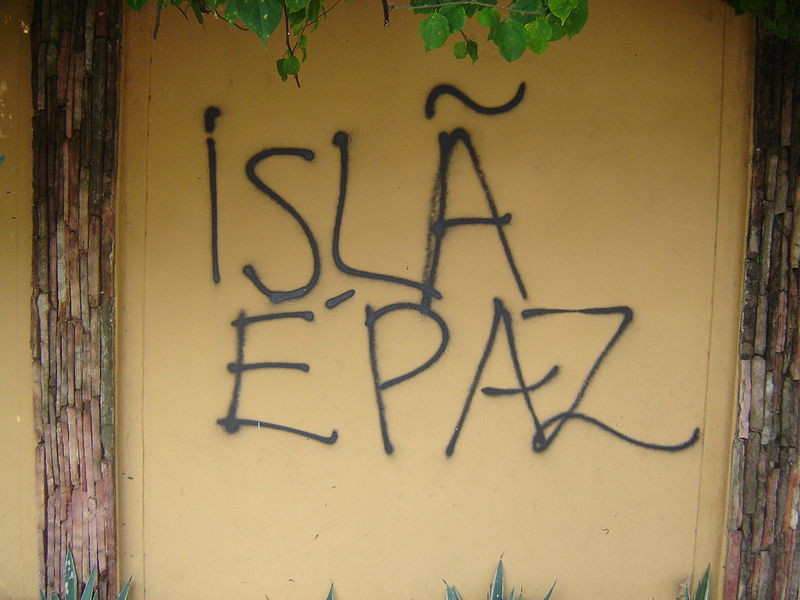 Brazil Muslims support open probe into terror suspects