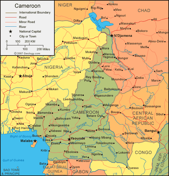 Cameroon: Twenty killed in suicide attack in northern Cameroon