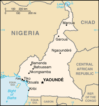 Cameroon: 18 dead, 4 injured in terror attacks