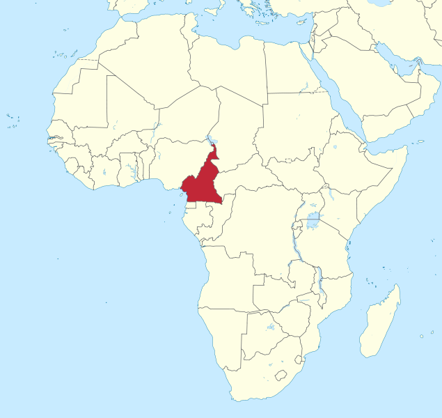 Cameroon train tragedy kills at least 55
