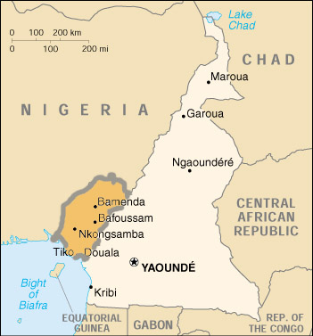 Cameroon: Suicide bombings in north Cameroon kill 20