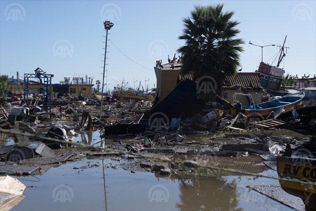 Chile quake death toll rises to 11