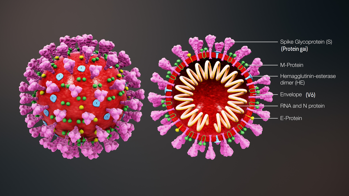 UK authorizes Oxford/AstraZeneca COVID-19 vaccine