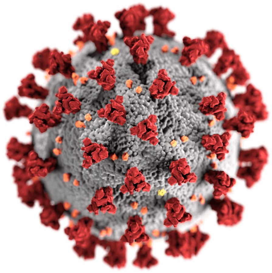 UN warns of more animal-to-human viruses