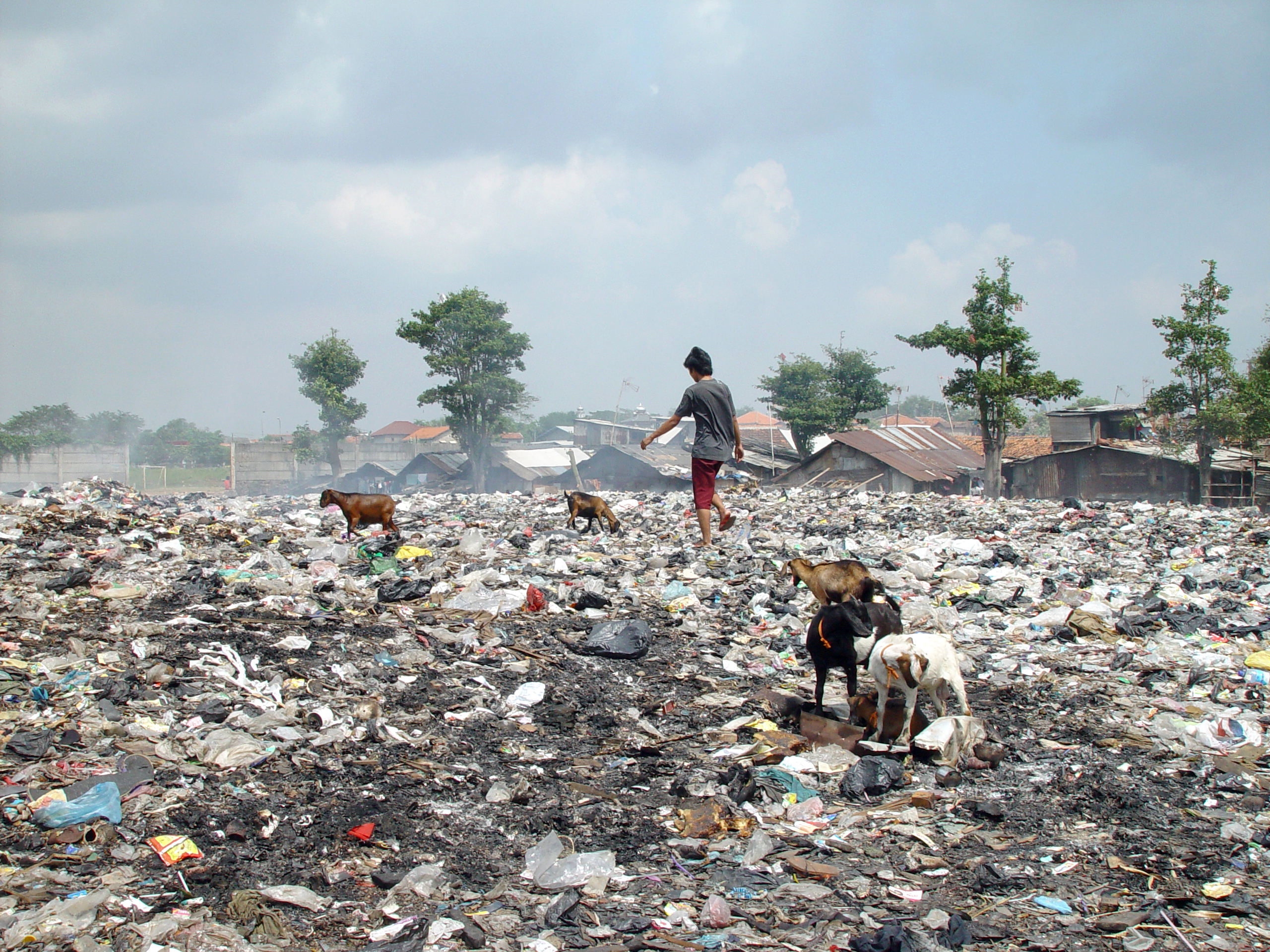 Modern impracticality of recycling