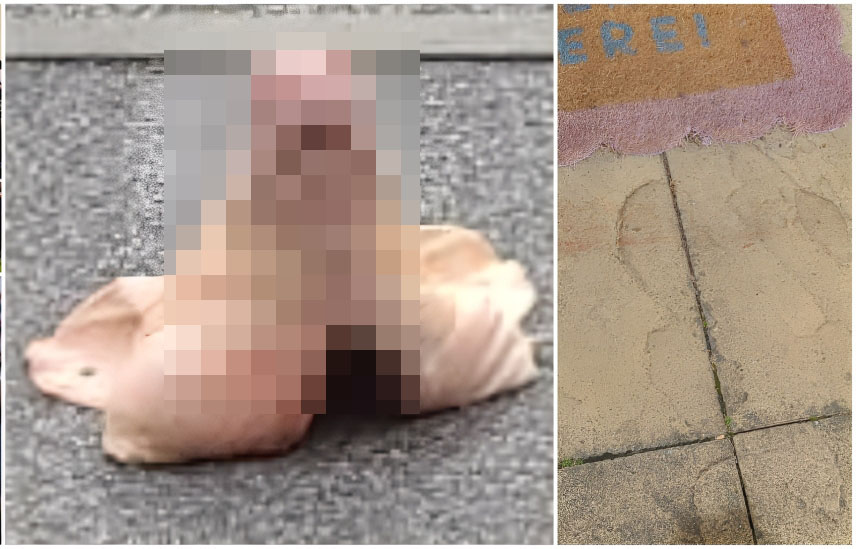 EXCLUSIVE: Essex Muslim family “traumatised,” living in fear after pig’s head left on doorstep