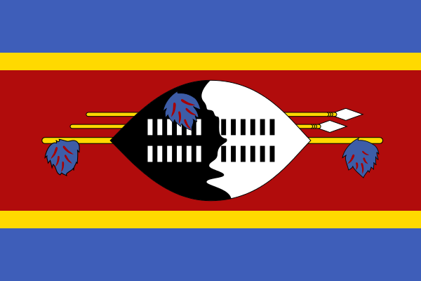Swaziland crash death toll climbs to 65; Gov’t still mum