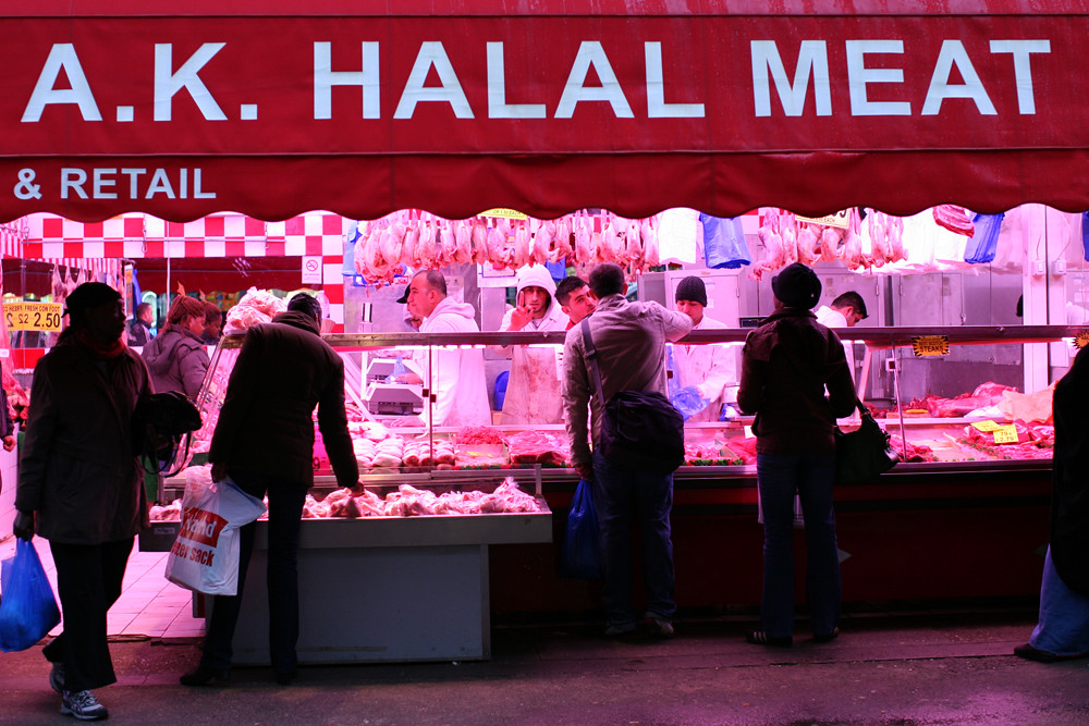 Food agency finds ‘no clear evidence’ non-stun slaughter worsens animal welfare