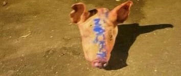 Foreign nationals linked to Paris mosque pig-head attacks