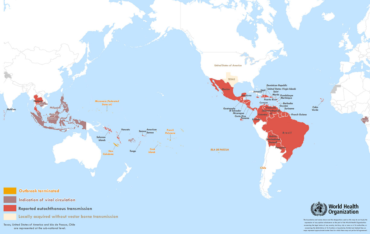 WHO declare Zika virus a health emergency