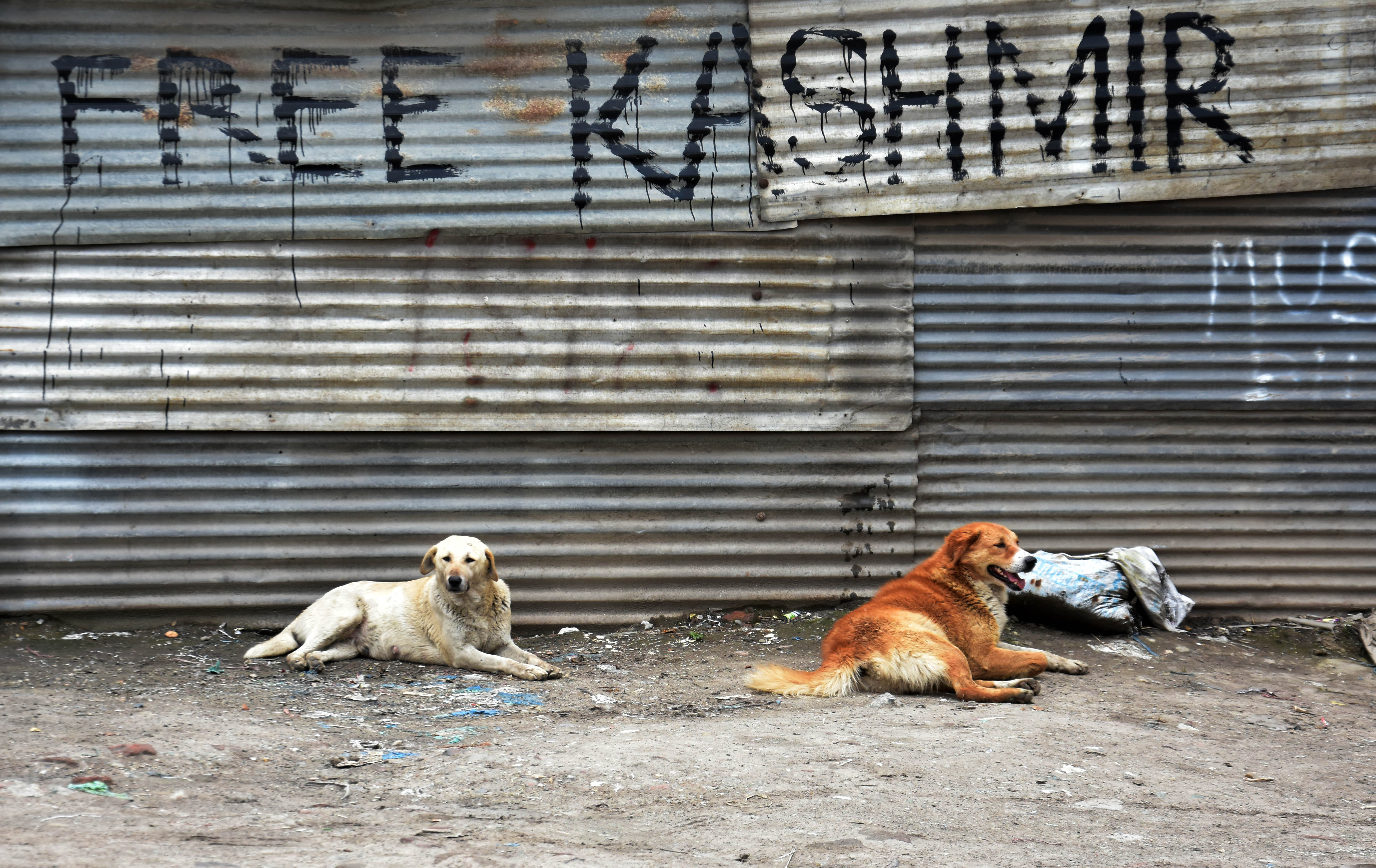 Jammu & Kashmir: 3 Indian paramilitary troops killed in shootout