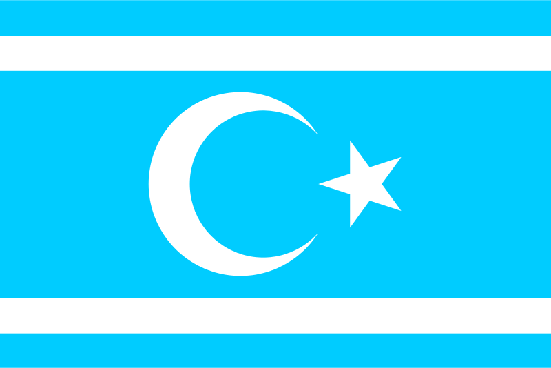 22 Turkmen being treated in Ankara after chemical attack in Iraq