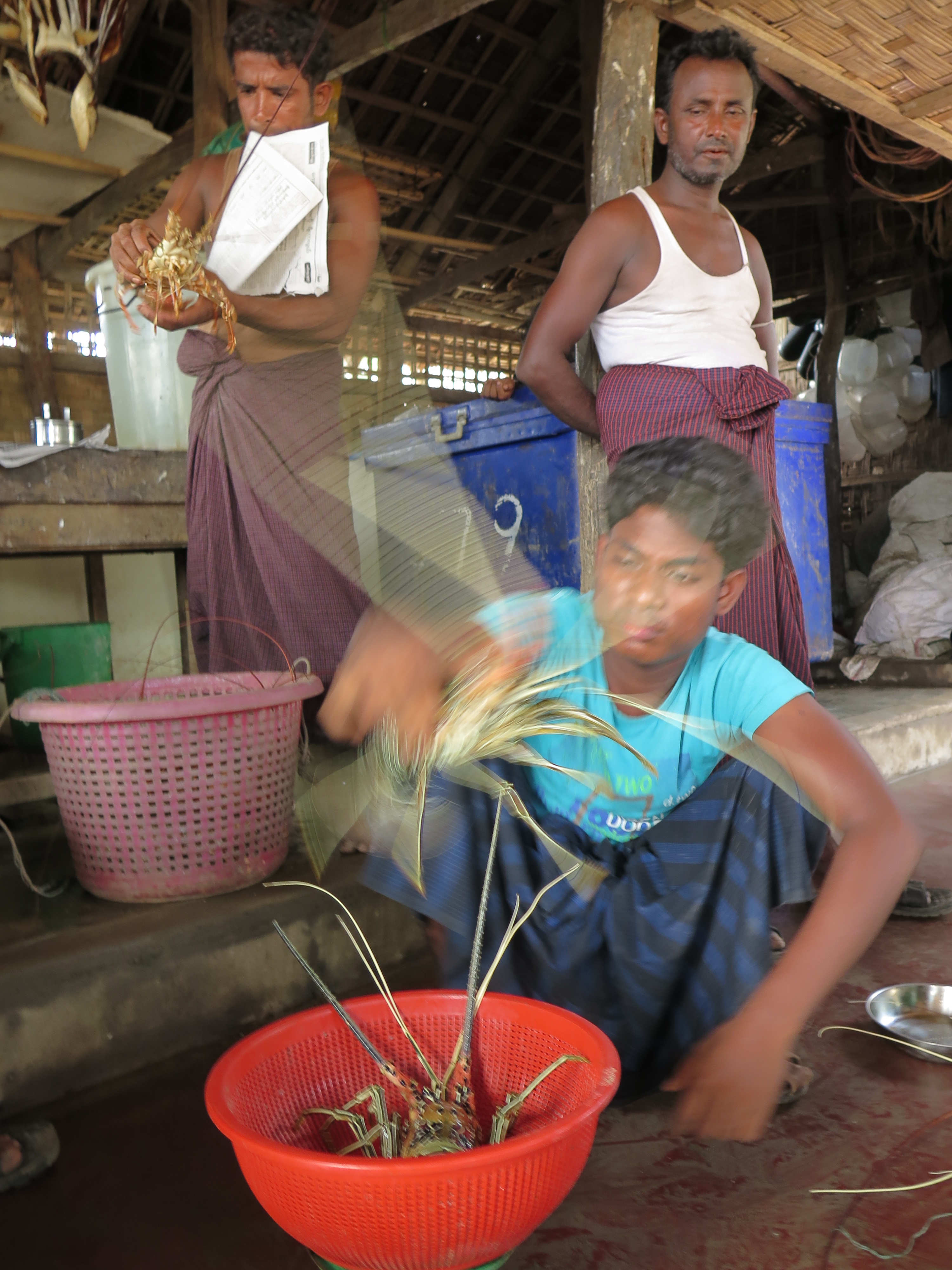 Myanmar: Illegal mosques to be demolished in Rakhine