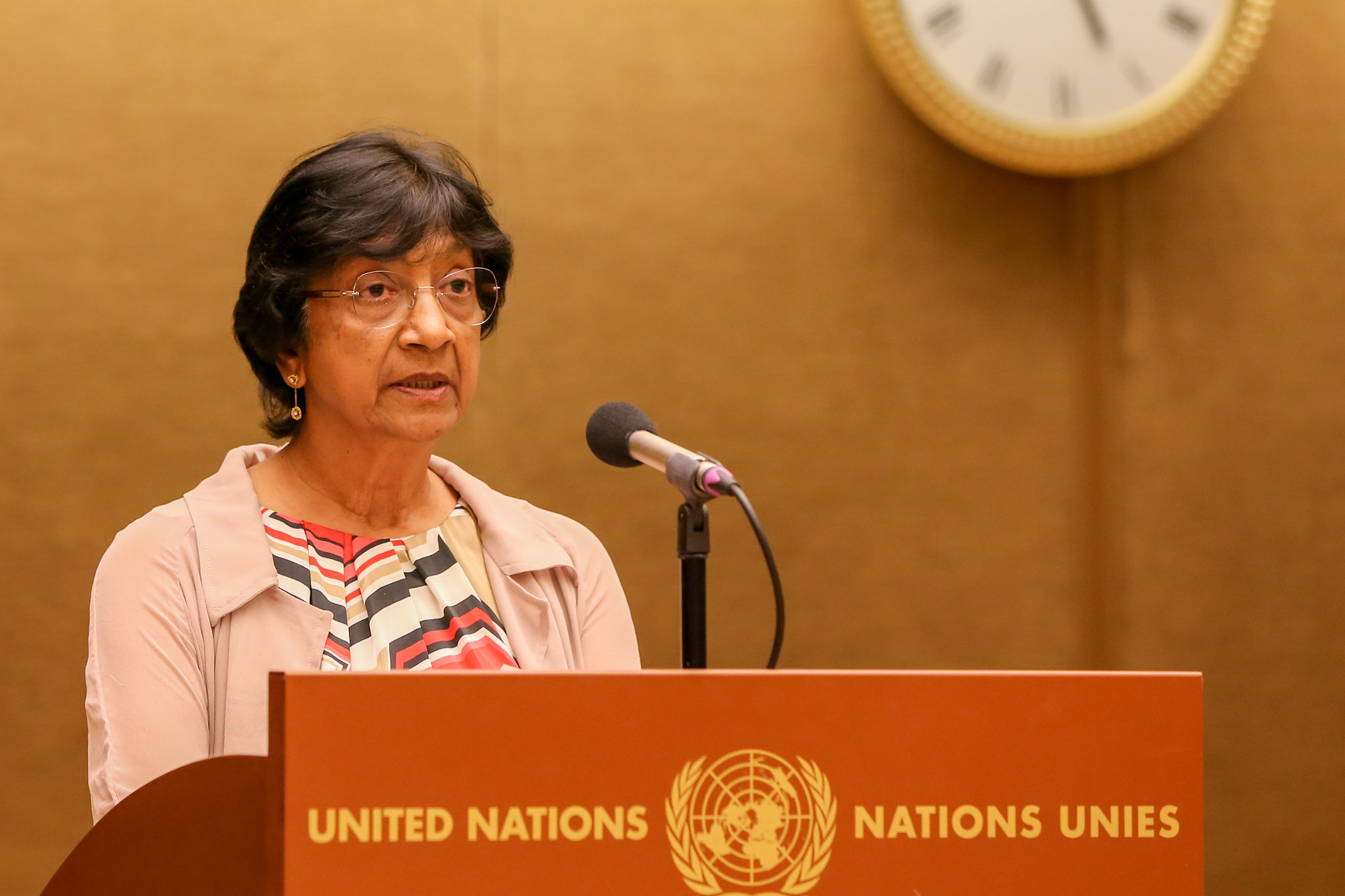 Comment—Nobel Pillay and the test of International Law