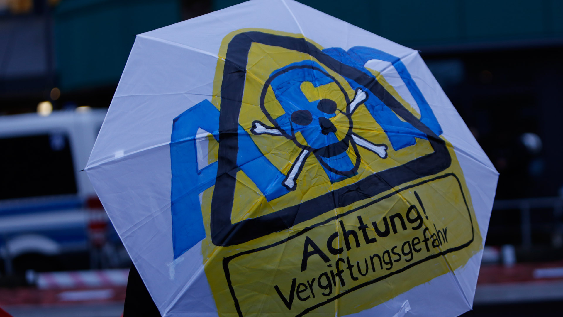 Nearly half of Germans back AfD ban following far-right extremist designation