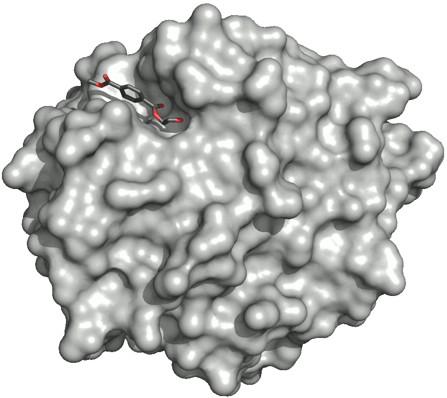 Catalyst of plastic-eating substance accidently discovered