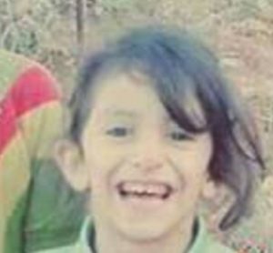 Palestinian child killed, ‘run over by Jewish settler’