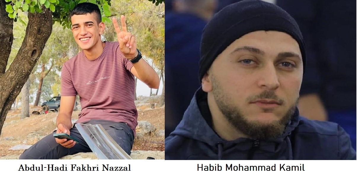 Palestine: Two more Palestinians killed by Israeli forces in W Bank