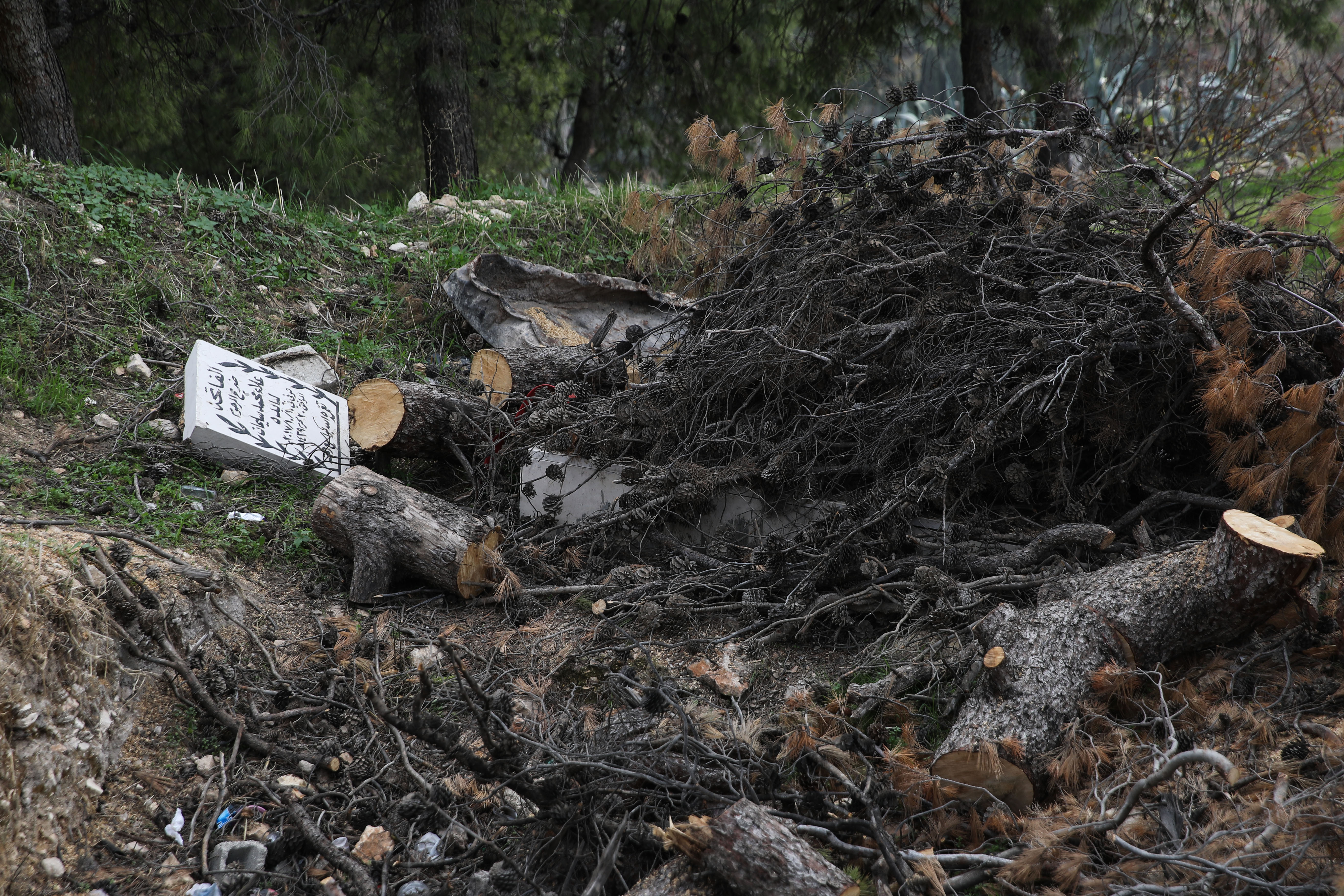 Palestine: Israel demolishes Muslim graves near Al-Aqsa mosque