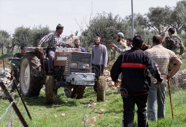 Palestine: Israeli settlers set fire to West Bank park