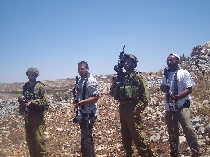 Palestine: Israeli settlers destroy olive groves in West Bank