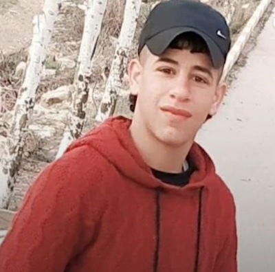 Palestinians killed by Israeli forces in Jenin & Hebron