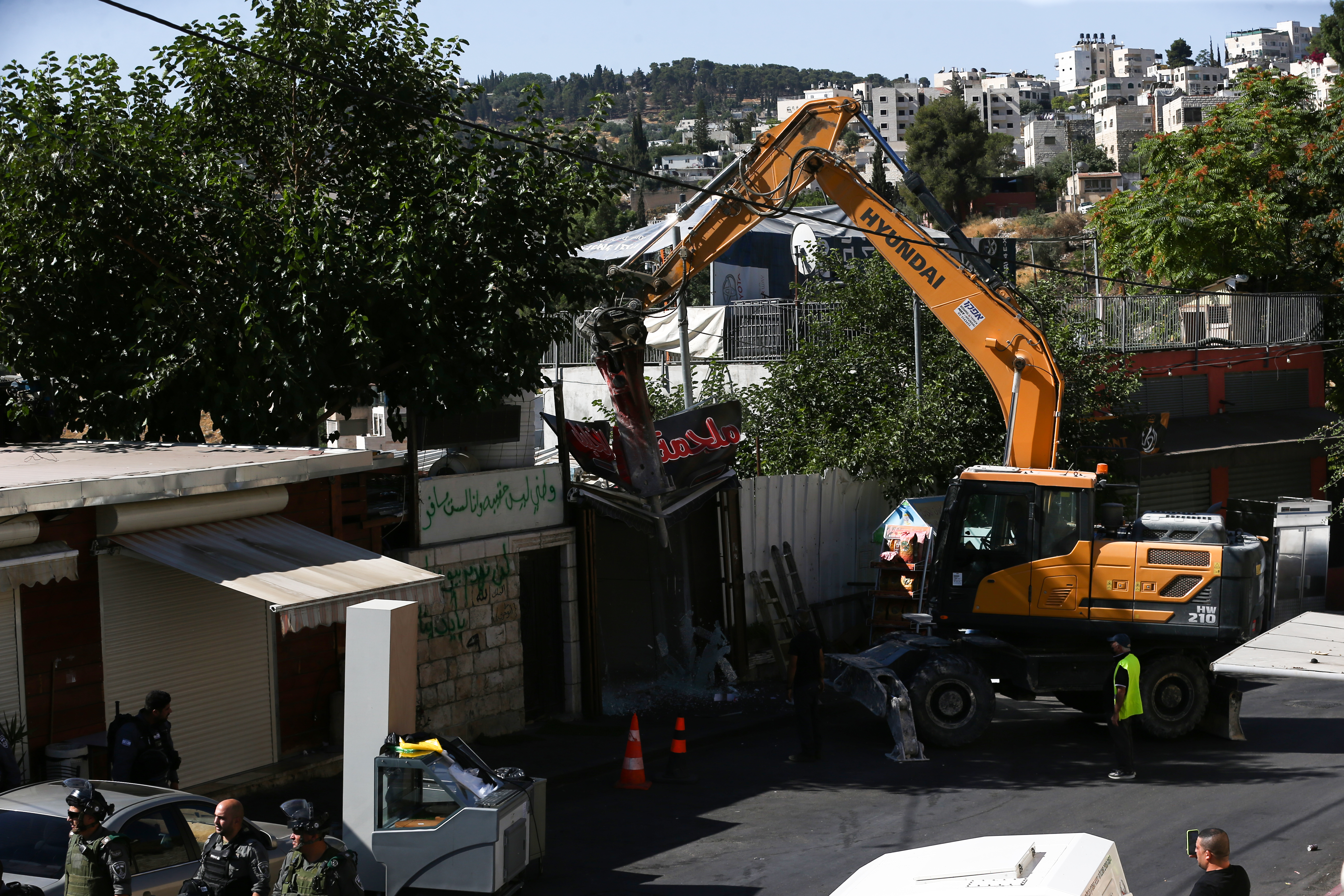 Palestine: Israeli settlers destroy Palestinian olive trees, raze farmland in W Bank