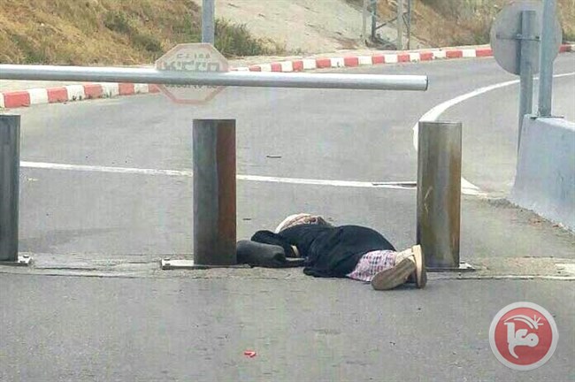 Palestine: Palestinian teenage girl shot dead after alleged knife attack