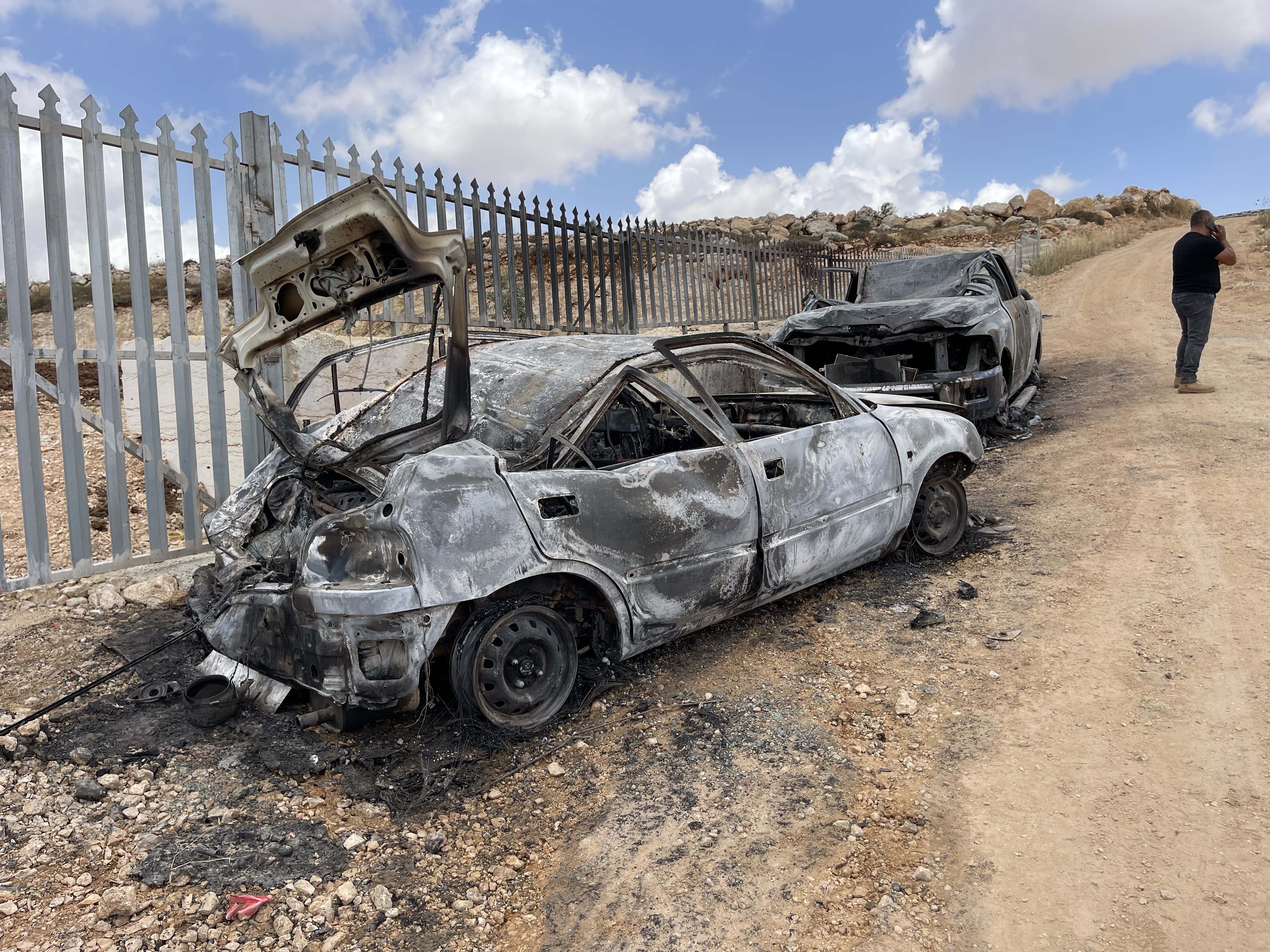 Palestine: Israeli settlers destroy hundreds of Palestinian olive trees