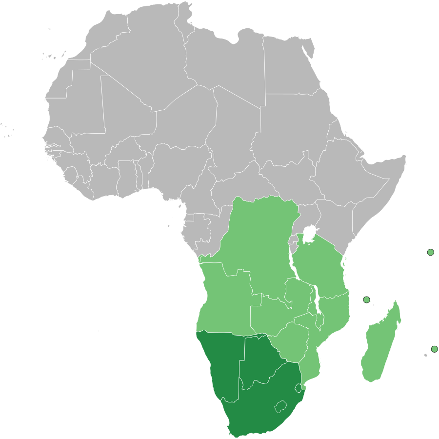 Southern African leaders slam travel bans over omicron, calling it Afrophobia