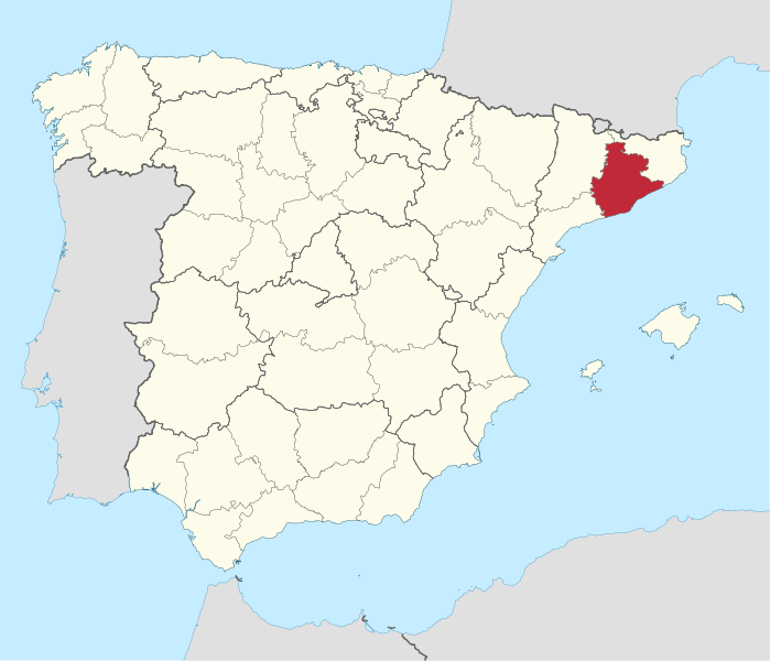 Spain: Niqabi pregnant Muslim woman assaulted
