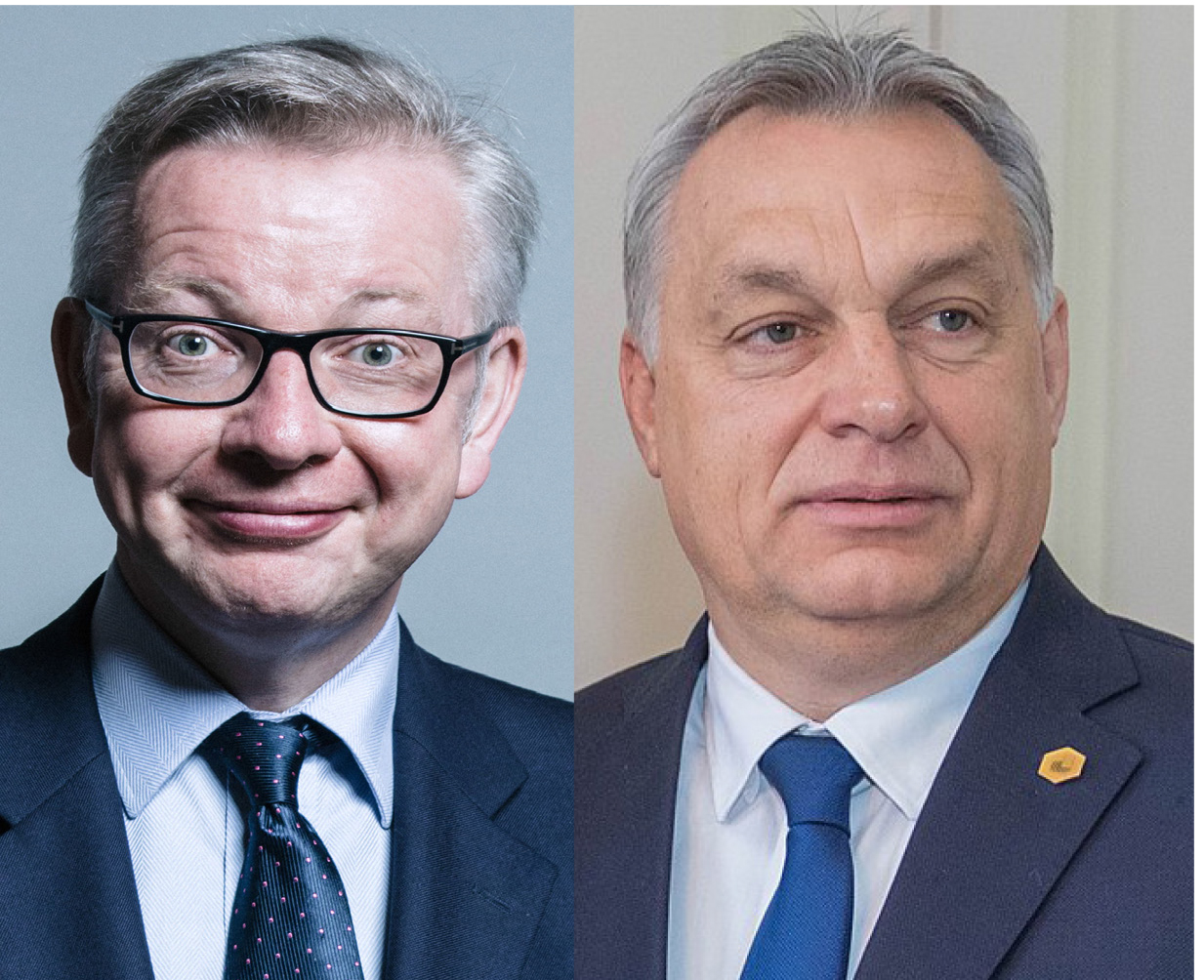 Tories side with far right in EU Parliament in support of Orban