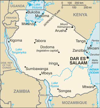 Tanzania: 20 dead as terrorists storm border region