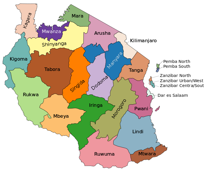 Tanzania: 30 students killed in school bus crash in Arusha region