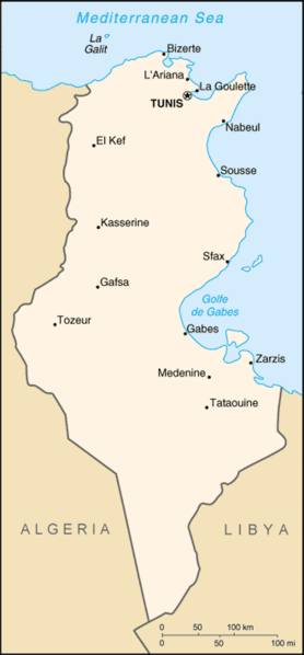 Tunisia: 37 Bangladeshi migrants drown off Tunisian coast