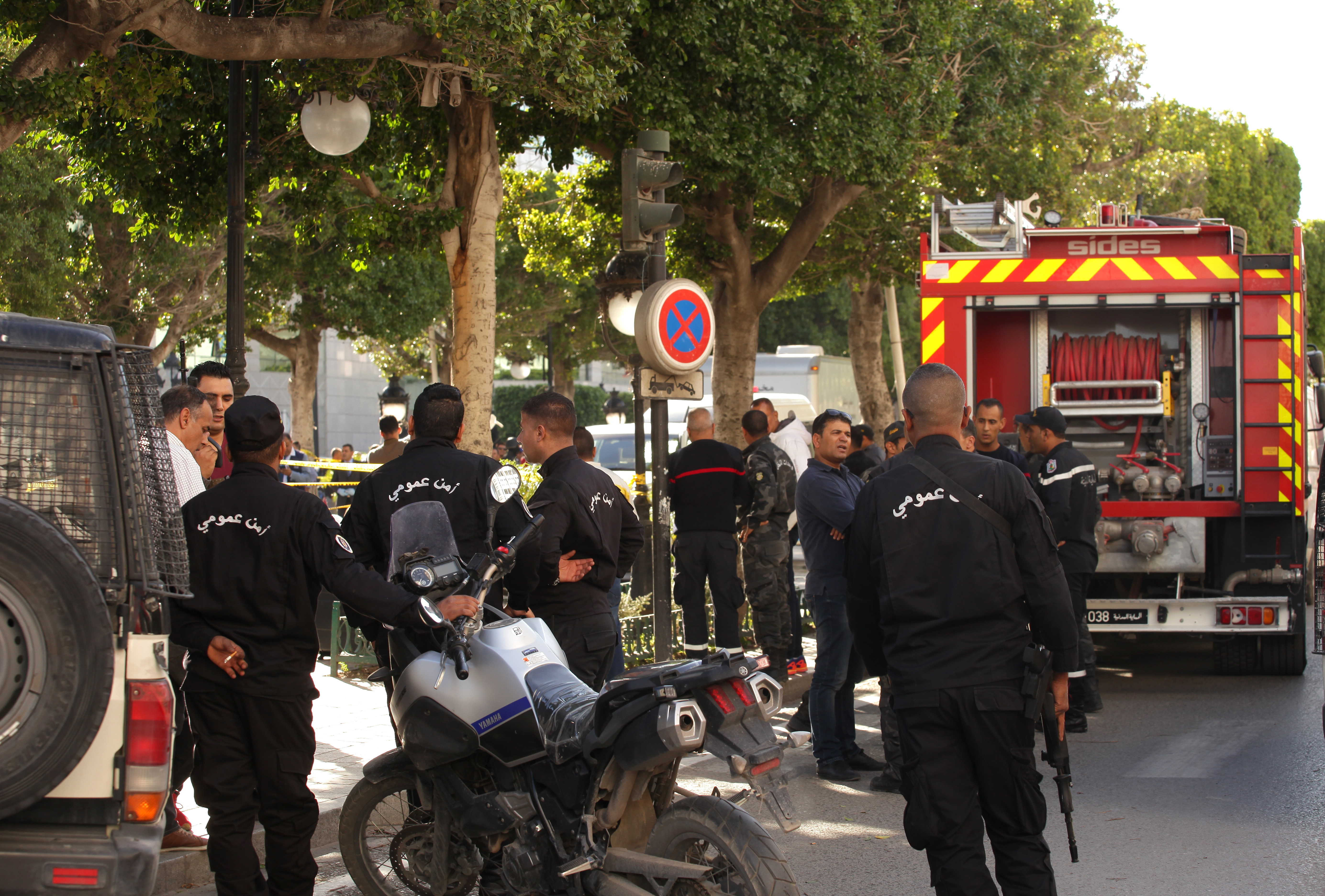 Tunisia: Female suicide bomber injures 20 in Tunis
