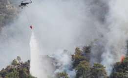 Turkey: 167 wildfires now under control