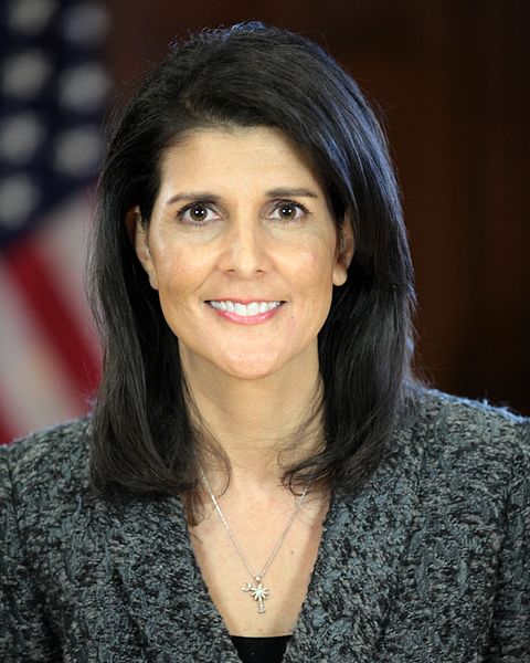 US: Don’t look to UN for solution, US tells Palestine