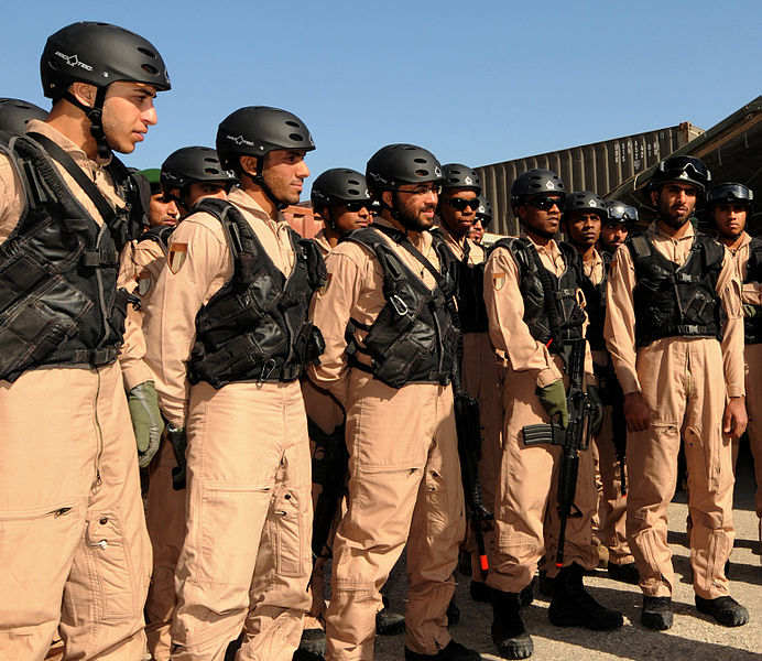 UAE ready to send troops to Syria to fight Daesh