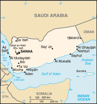 Yemeni minister resigns over UAE backed group attacks, coup
