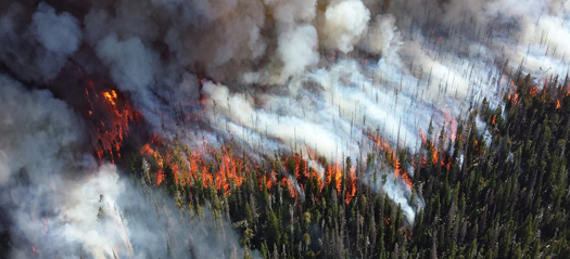 What the US election means for the climate