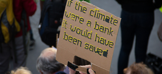 Leaders discuss biodiversity protection at One Climate Summit